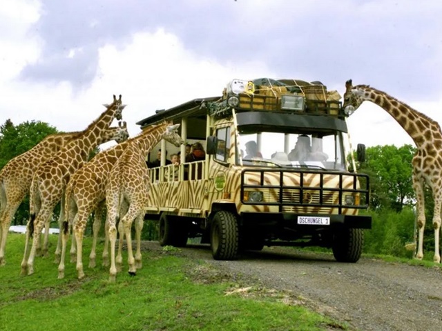 Serengeti Park